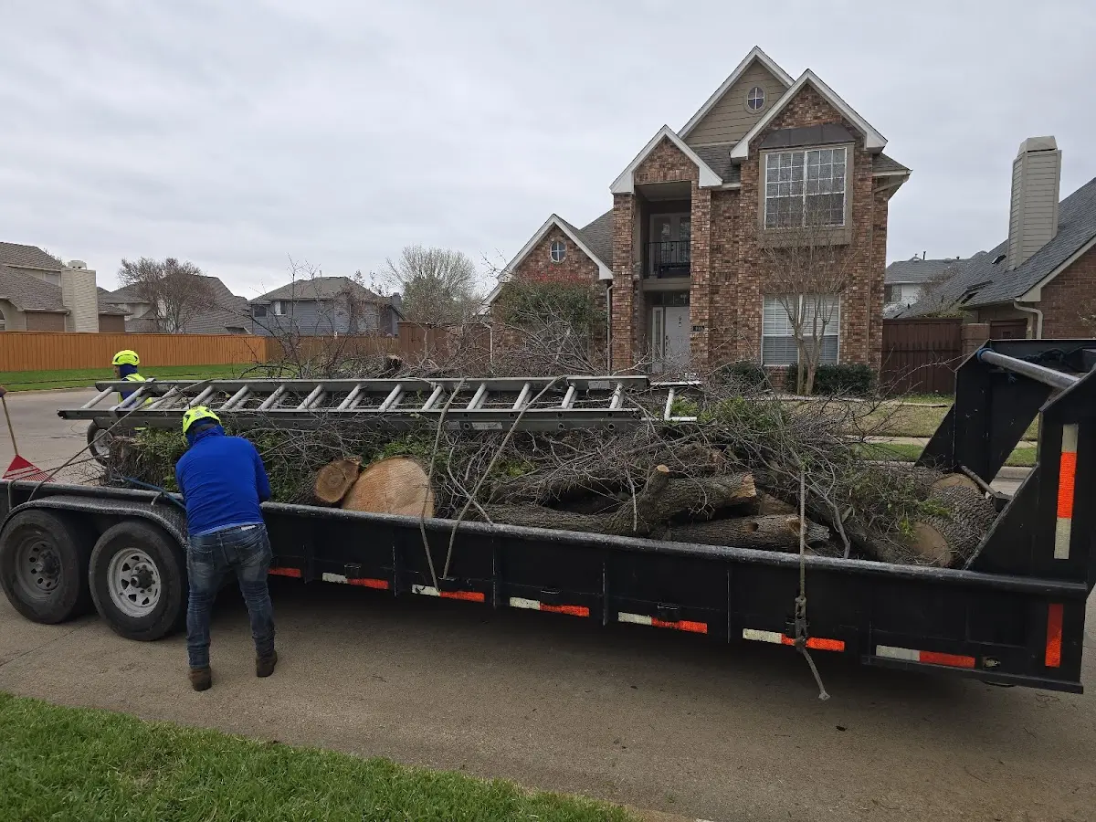 Expert Lot Clearing with proper safety equipment in Dumas